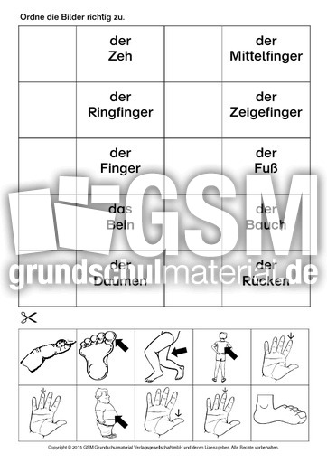 AB-DAZ-Körperteile-zuordnen-3.pdf